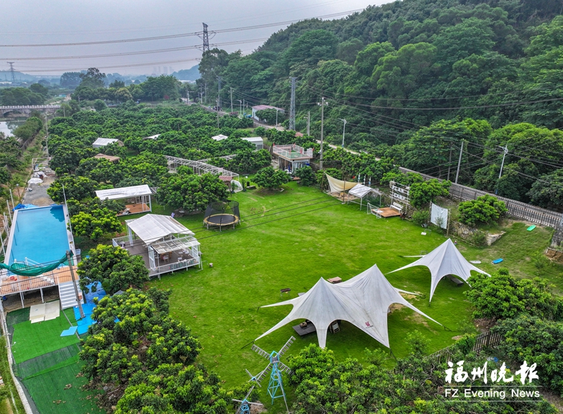 福清建新村：小“寶丸”大作為